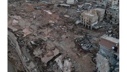 "재난 시신 존엄하게 관리해야...'전염병 유발' 오해" / YTN