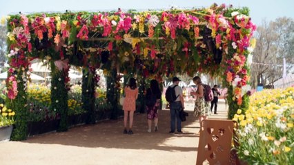 Flower festival blooms for 36th year in nation's Capital