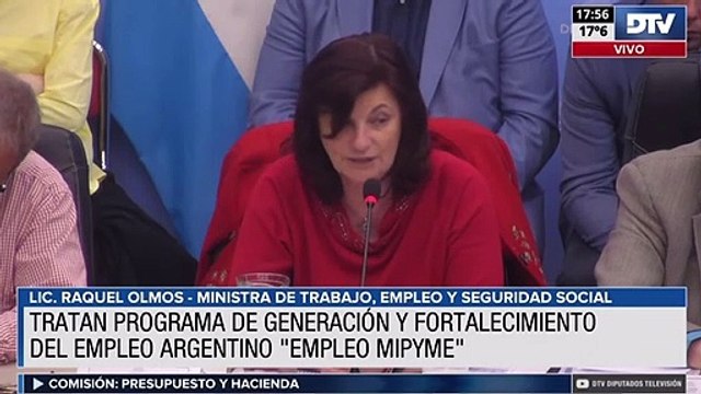 Con presencia de funcionarios en el debate, avanzó el proyecto Empleo Mipyme