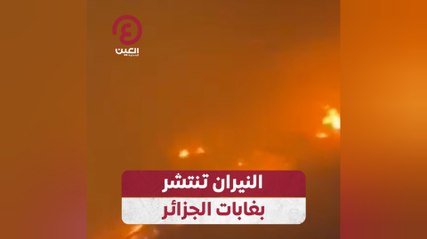 النيران تنتشر بغابات الجزائر