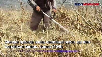 Puluhan Warga 3 Kabupaten Kerja Bakti Buat Sekat Api di Gunung Bromo