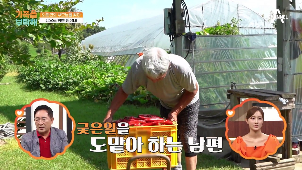 귀농 생활 30년 차! 일밖에 모르시는 의뢰인 부모님의 건강 상태는 어떨까?