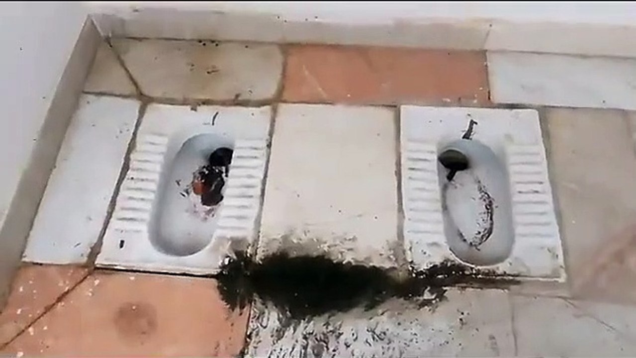 Video: अमेठी में बना अनोखा शौचालय, बिना चारद‍ीवारी एक साथ लगाई गई 4 टॉयलेट सीटें