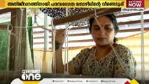 വീട്ടുടെറസിൽ ജീവിതം നെയ്ത് പേട്ട സ്വദേശി അനിത