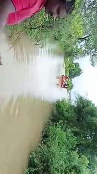 चारों तरफ पानी का कब्जा, नर्मदापुरम में बाढ़ जैसे हालात