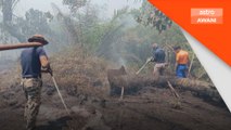 20 ekar masih terbakar di hutan Kompartment 99, Hutan Simpan Raja Musa - Bomba