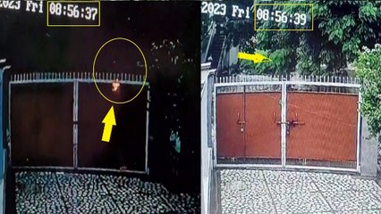 पेड़ के नीचे खड़ी महिलाओं पर बिजली गिरने का Video Viral, 1 युवती की मौत, दिल दहला देगी ये घटना