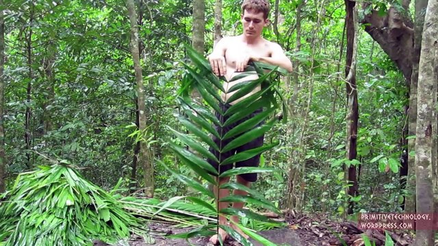 Primitive Technology- Palm Thatched Mud Hut
