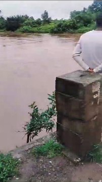 चारों तरफ पानी-पानी