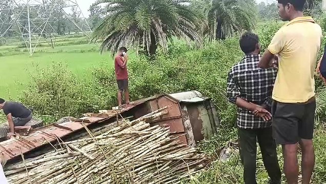 कोंडागांव में हादसा... लकड़ी से भरी ट्रक पुलिया में गिरी, ड्राइवर की मौत, देखें video