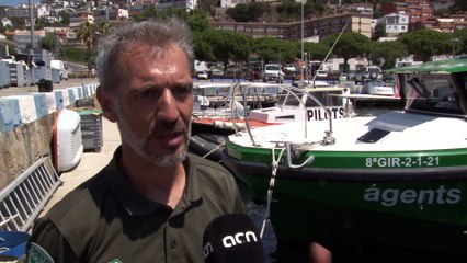Els Agents Rurals intensifiquen el control d'embarcacions fondejades que malmeten la posidònia
