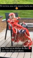 ¡Calma y paciencia! Niña se disfrazó de flor para poder ver de cerca a los colibríes