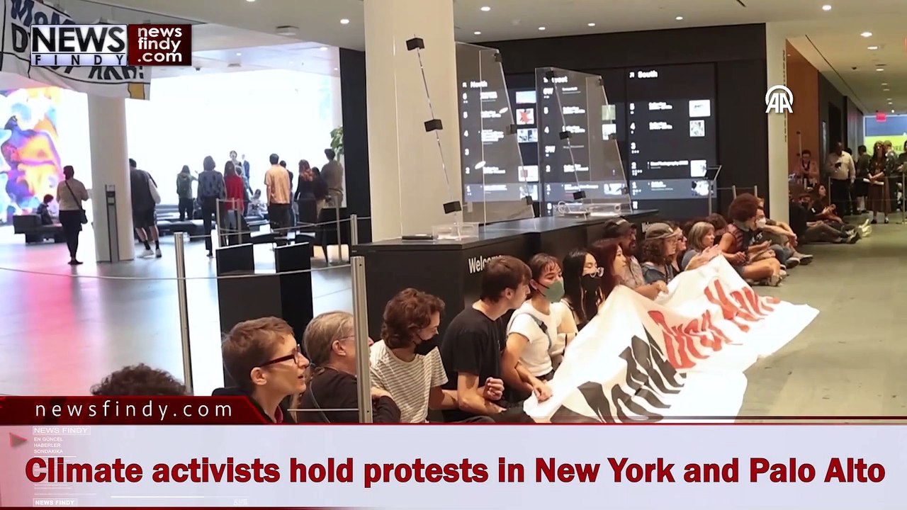 Climate activists hold protests in New York and Palo Alto