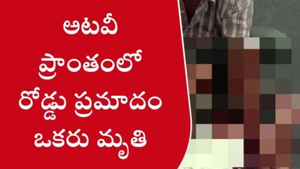 ప్రకాశం: రోడ్డు ప్రమాదం... వ్యక్తి మృతి