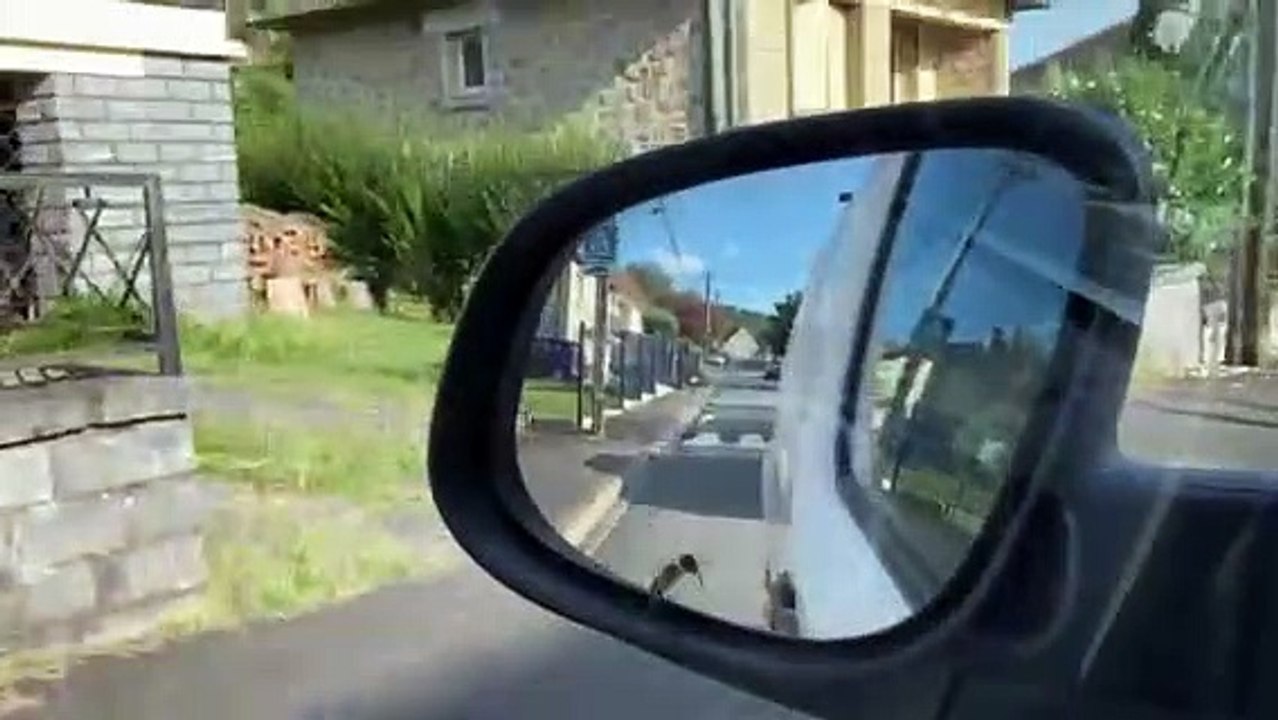 Un nuage d'abeilles se forme après un accident à Malemort en Corrèze