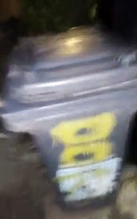 Man Interrupts Rats Having a Moment