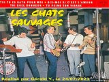 Les Chats Sauvages & Dick Rivers_Dis-moi si c'est l'amour (1961)karaoké