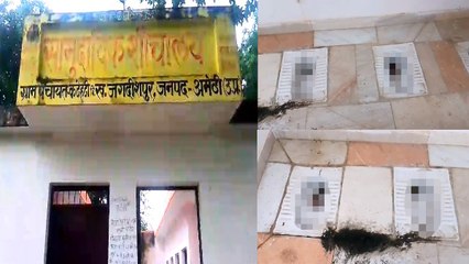 इस शौचालय को देख छूट जाएगी हंसी, बिना दीवार के लगा दीं 4 सीटें, अब Video हो रहा जमकर Viral