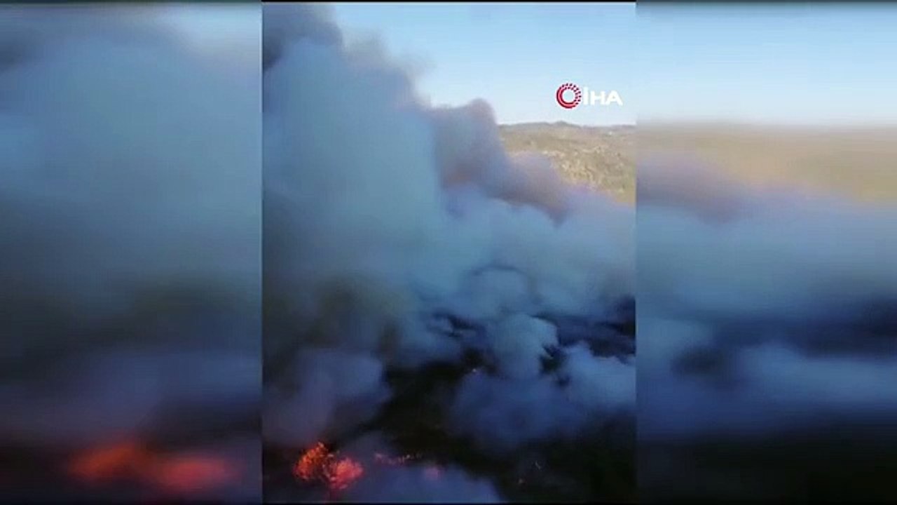 İzmir Menderes'te Orman Yangını: Havadan ve Karadan Müdahale Başladı