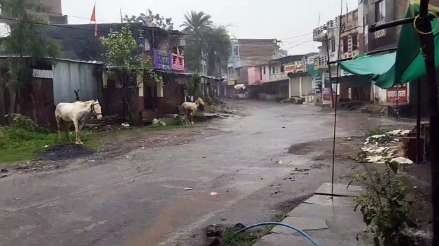 कांठल में झमाझम बारिश से नदी-नाले उफान पर