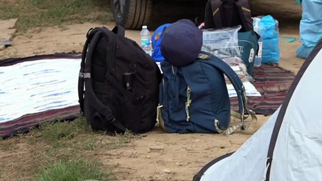 Peste suina, rifugio di Sairano presidiato contro l'abbattimento maiali