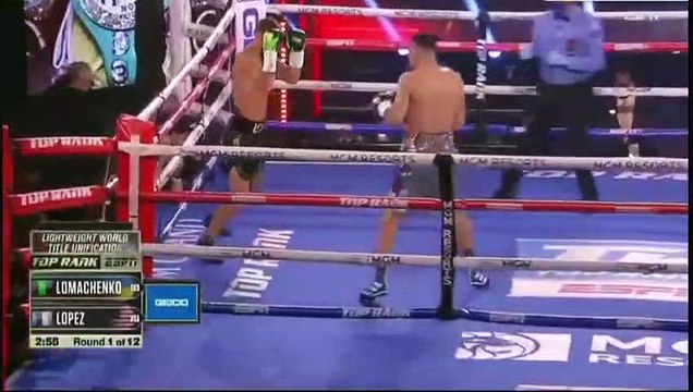 Vasyl Lomachenko Vs Teofimo Lopez Highlights (Robbery or Good Decision)