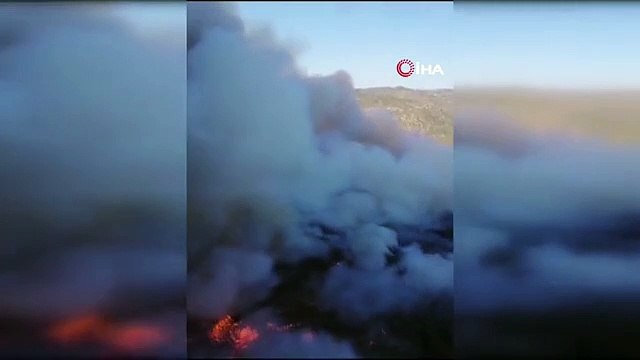 İzmir Gümüldür yangını söndürüldü mü? İzmir'de yangın neden çıktı? Orman yangını son durum ne?