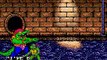 Teenage Mutant Ninja Turtles : The Hyperstone Heist