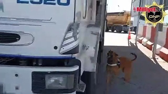 Bakan Yerlikaya duyurdu! 8 ilde 42 zehir taciri kıskıvran yakalandı