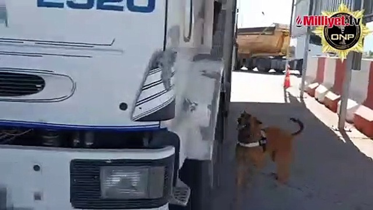 Bakan Yerlikaya duyurdu! 8 ilde 42 zehir taciri kıskıvran yakalandı