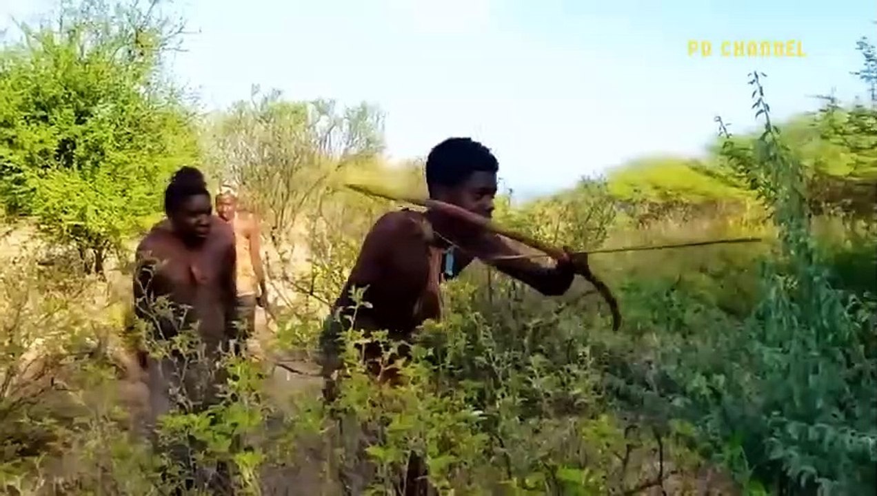 Rare Footage! Maasai Aborigines Risk Their Lives To Ambush In Front Of The Burrow To Hunt Leopard