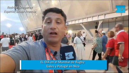 EL DIA en Francia.- Gales derrotó por 28-8 a Portugal en Niza