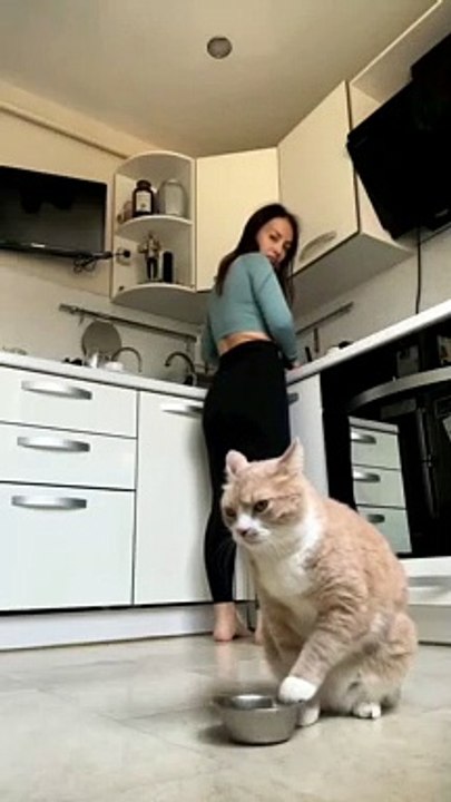 CUTE KITTEN CAT VIDEO 4