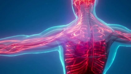 فرمولی بی نظیر برای تسکین درد زانو و درد استخوان و کمردرد