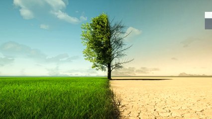 دراسة: الإنسان مهتم بصحته بدرجة أكبر من مصير الأرض