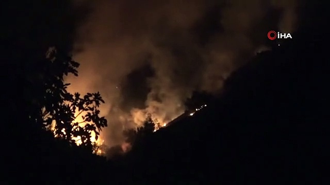 Hatay'da zeytinlik alanda çıkan yangın ekiplerin çalışmasıyla kontrol altına alındı