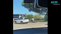 Drivers swerve to avoid mobility scooter rider