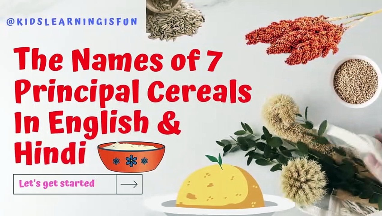 The names of 7 principal cereals_In english and hindi_cereal_cereal