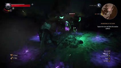 The Witcher 3 : Wild hunt | In Ciri's foot steps velen  4