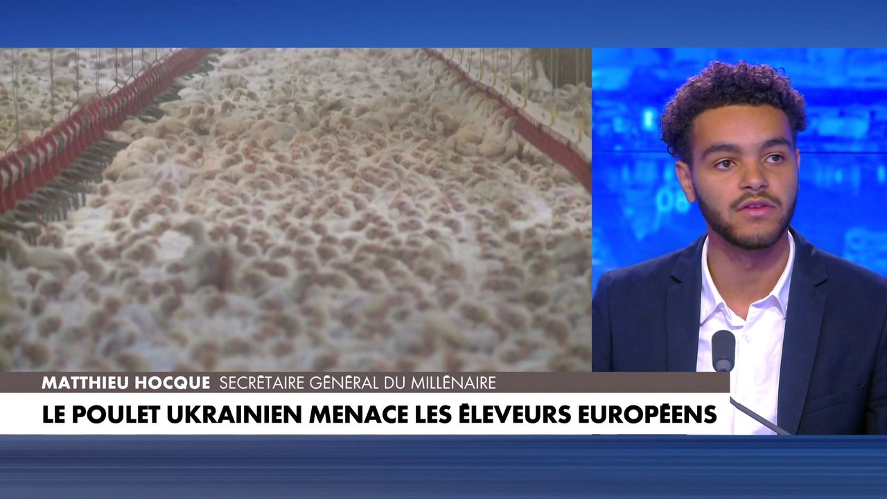 Mathieu Hocque : «Il ne faut absolument pas se tirer une balle dans le pied pour pouvoir aider les Ukrainiens, il faut d'abord penser à nos producteurs»