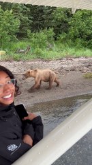 When A Family of Bears Passed By Our Float Plane