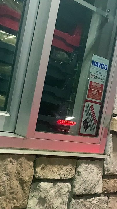 Rats at Whataburger Drive-Thru