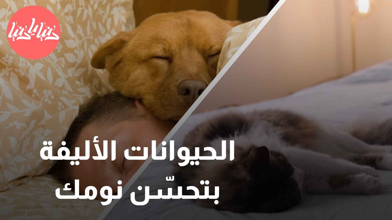 كيف يمكن للحيوانات الأليفة أن تحسن جودة نومك؟