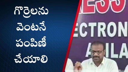 ఆదిలాబాద్: గొర్రెలను వెంటనే పంపిణీ చేయాలి