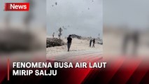 Fenomena Alam Berupa Busa Air Laut Melanda Pantai Lawrencetown Kanada