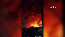 İzmir'de orman yangınına müdahale eden helikopter düştü