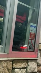 Rats at Whataburger Drive-Thru