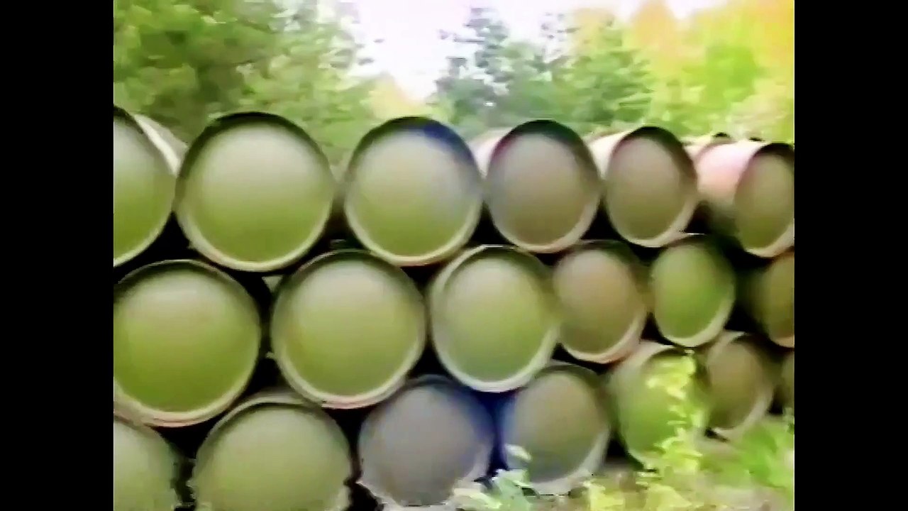 4分轄-毛沢東とその時代・化学兵器