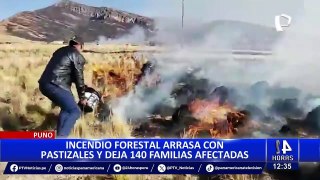 Puno: Incendio forestal deja 15 ovejas calcinadas y una persona fallecida