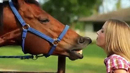 C'est Pourquoi Le Cheval s'est Vengé du Crocodile, Les 4 Batailles les Plus Féroces !!